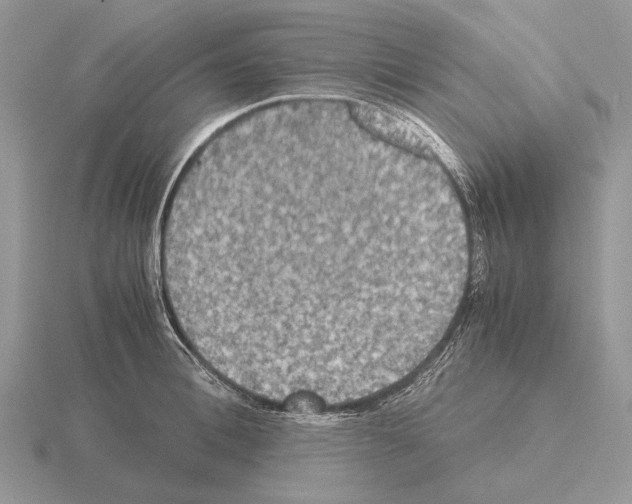 X0000115390996200912151456