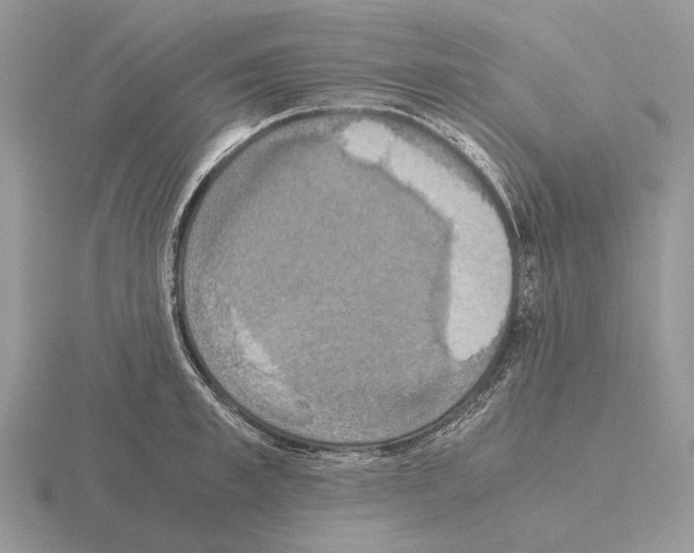 X0000115390997200912151456