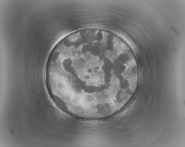 X0000115390999200912151456