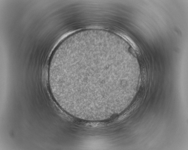 X0000115391000200912151456