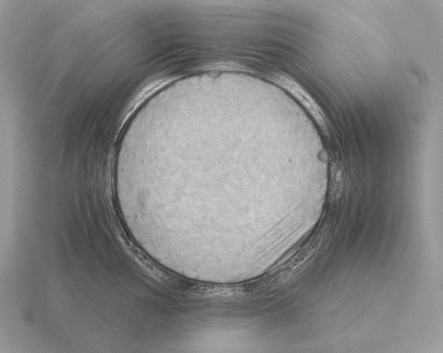 X0000115391002200912151456