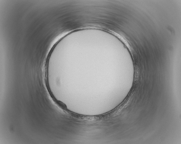 X0000115391003200912151456