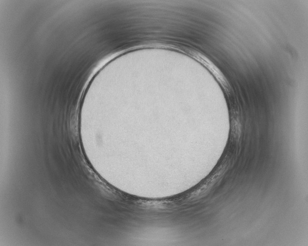 X0000115391004200912151456