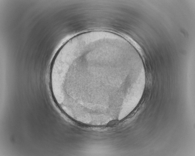 X0000115391005200912151456