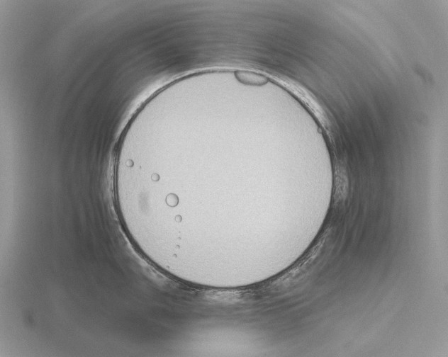 X0000115391006200912151456