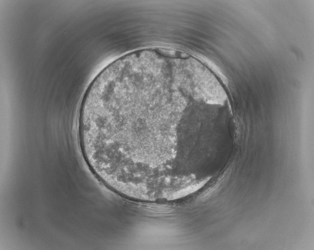 X0000115391007200912151456