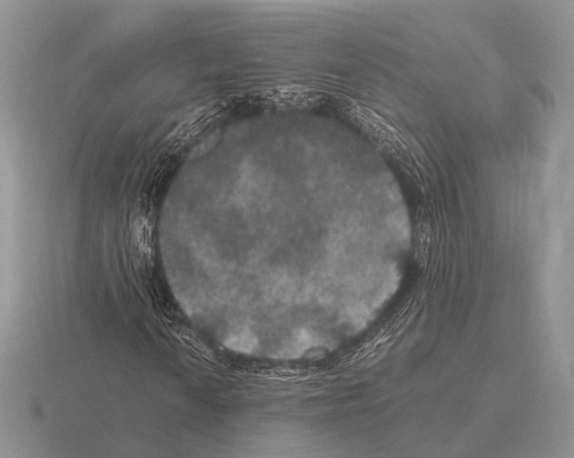 X0000115391010200912151455