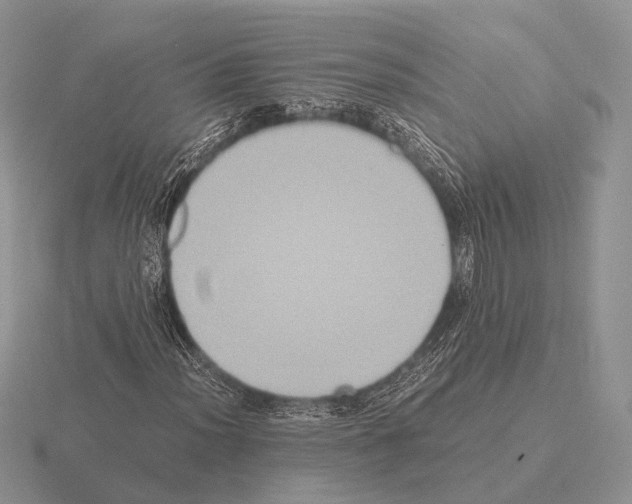 X0000115391012200912151455