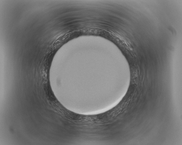 X0000115391013200912151455