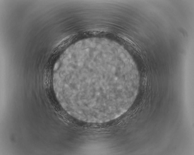 X0000115391014200912151455