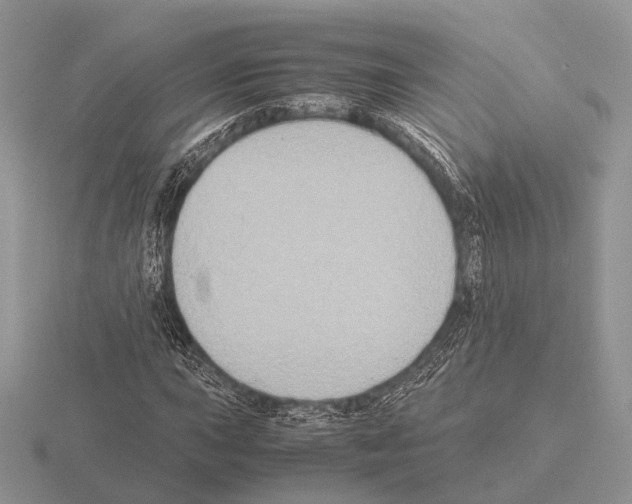 X0000115391015200912151455