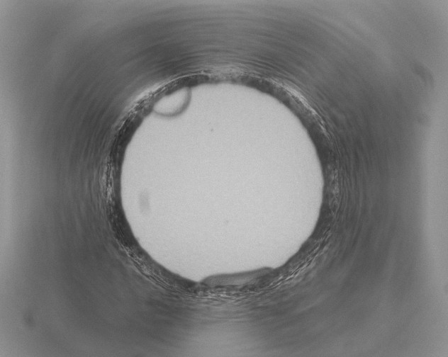 X0000115391016200912151455