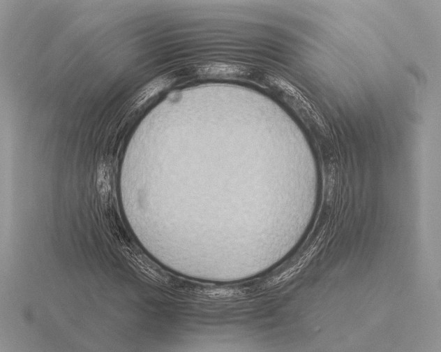 X0000115391017200912151455