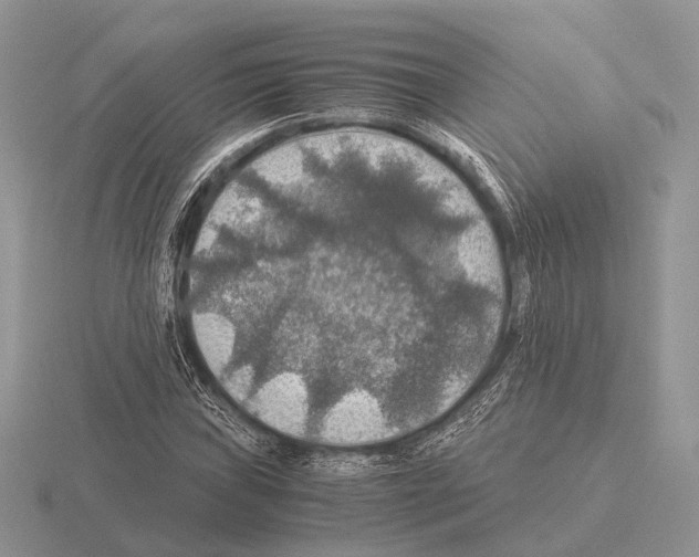 X0000115391019200912151455