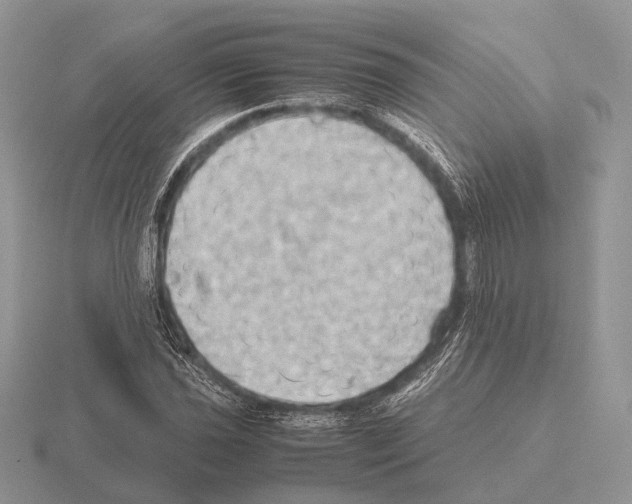 X0000115391021200912151455