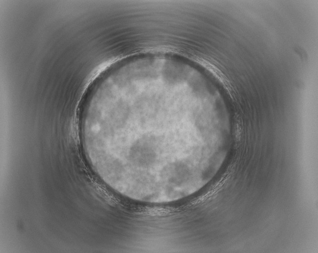 X0000115391022200912151455