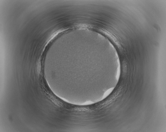 X0000115391023200912151455