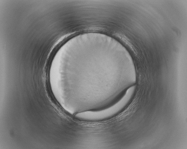 X0000115391024200912151455