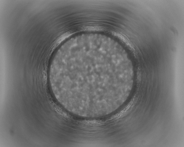 X0000115391025200912151455