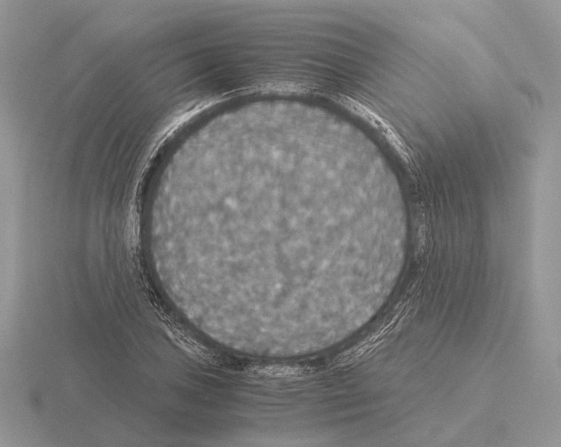 X0000115391027200912151455