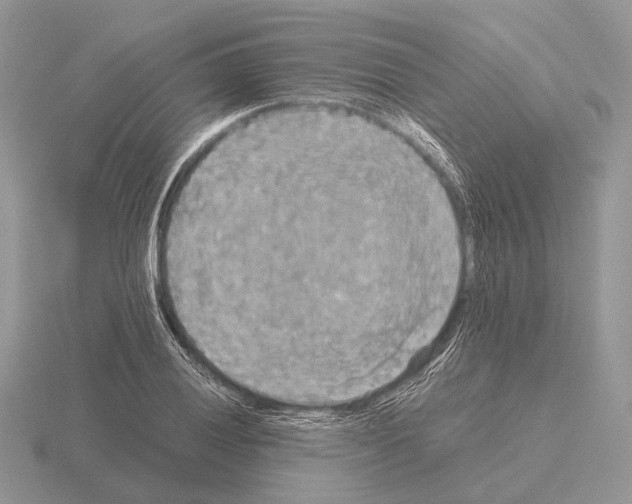 X0000115391028200912151455