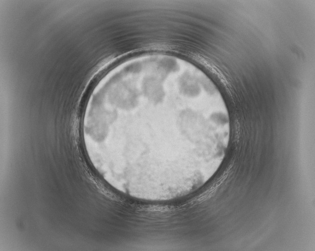 X0000115391029200912151455