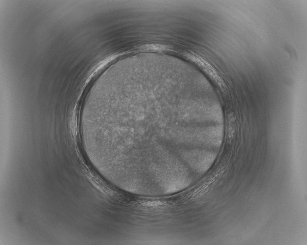 X0000115391031200912151455