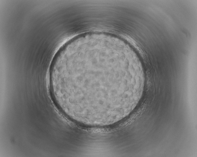 X0000115391032200912151455