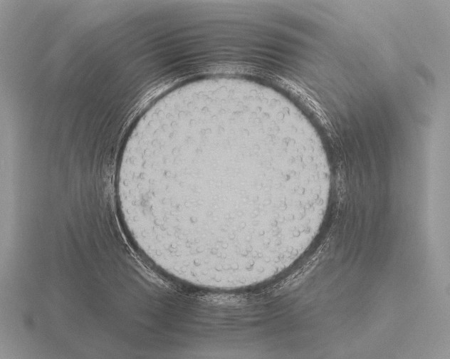 X0000115391033200912151456