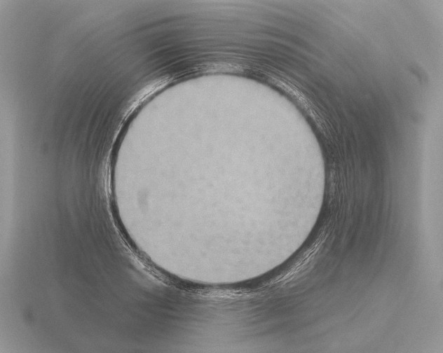 X0000115391034200912151456