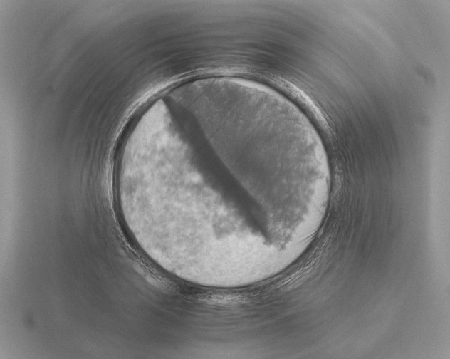 X0000115391035200912151456