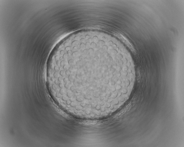 X0000115391036200912151456