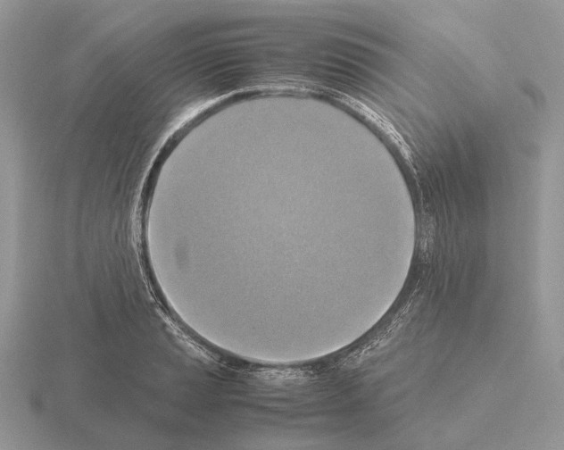 X0000115391037200912151456