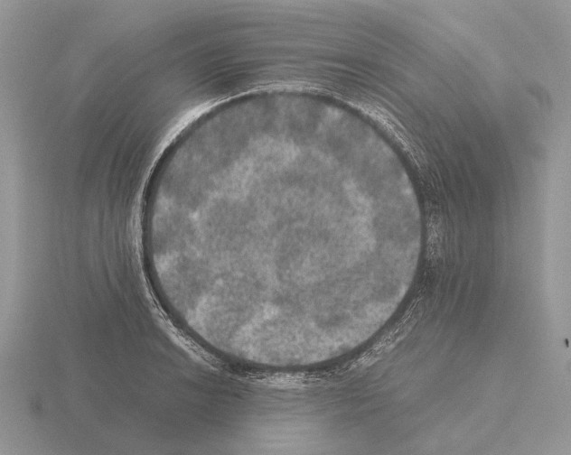 X0000115391038200912151456