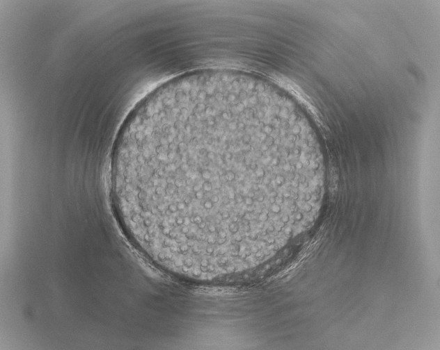 X0000115391040200912151456