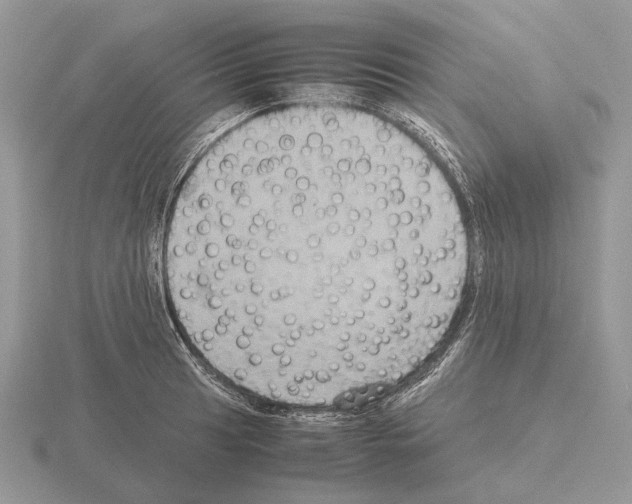 X0000115391041200912151456