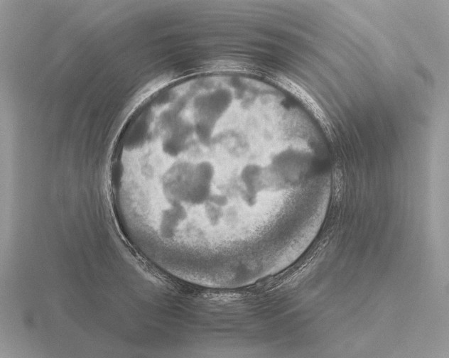 X0000115391043200912151456