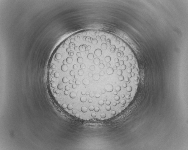 X0000115391044200912151456