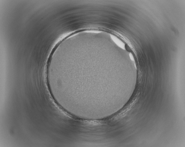 X0000115391045200912151456