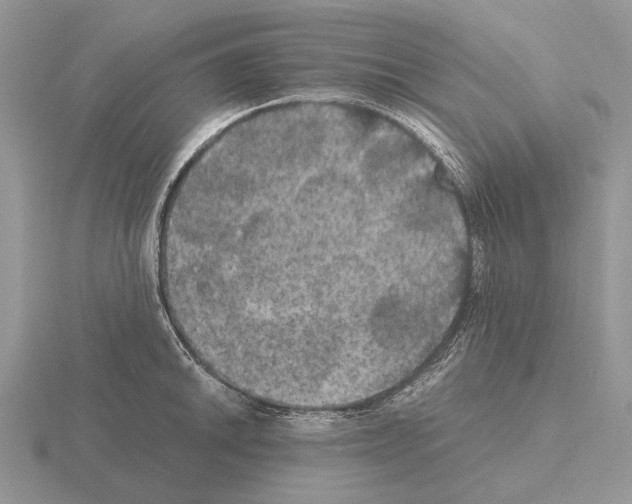 X0000115391046200912151456