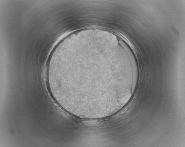 X0000115391048200912151456