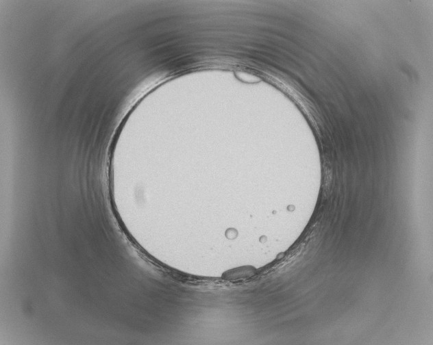 X0000115391050200912151456