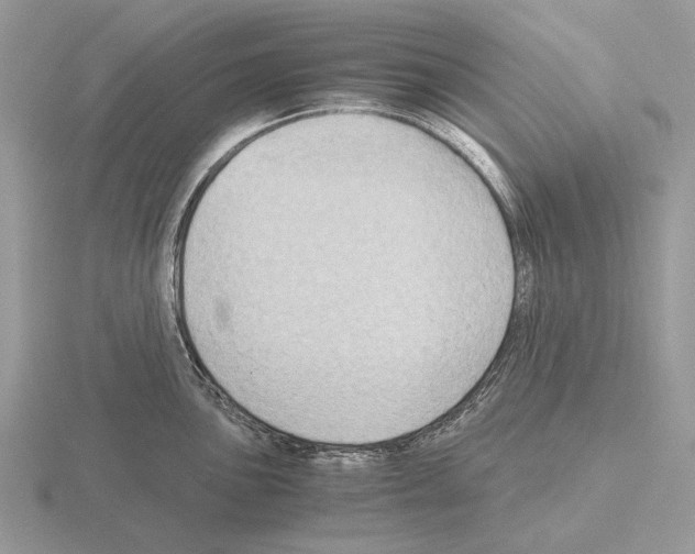 X0000115391051200912151456