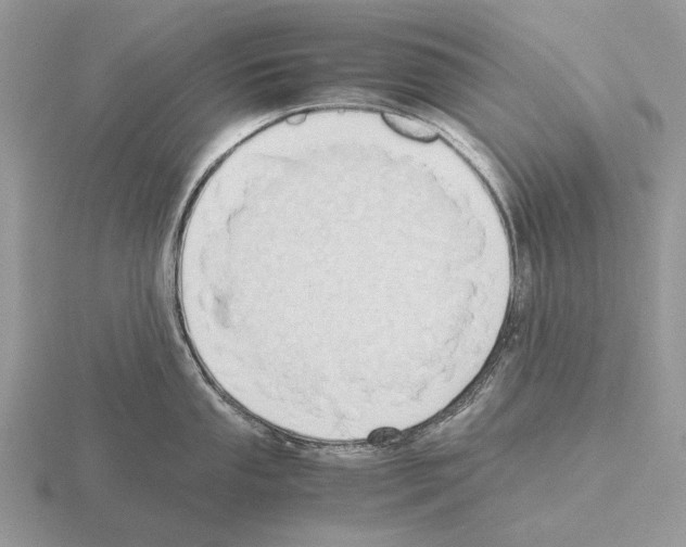 X0000115391053200912151456