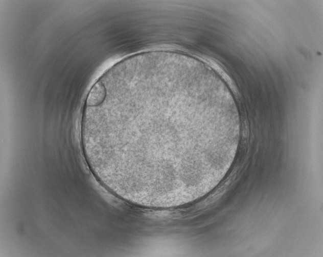 X0000115391054200912151456