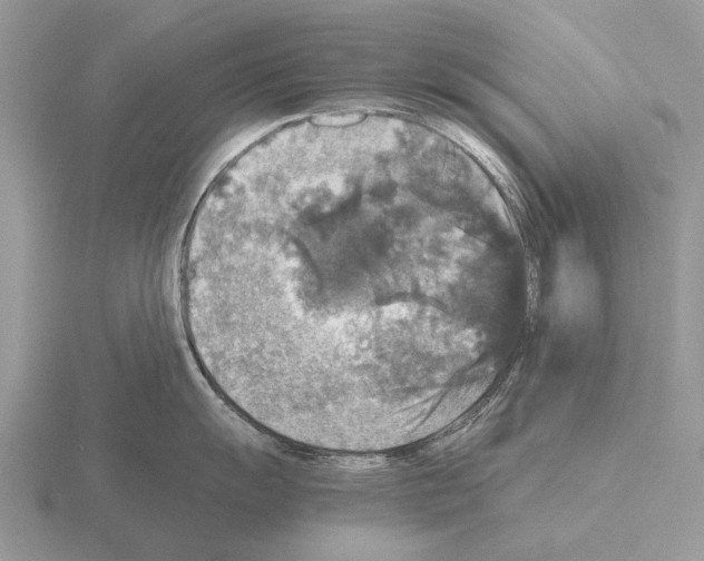 X0000115391055200912151456