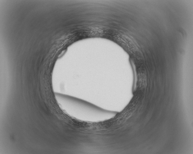 X0000115391057200912151455