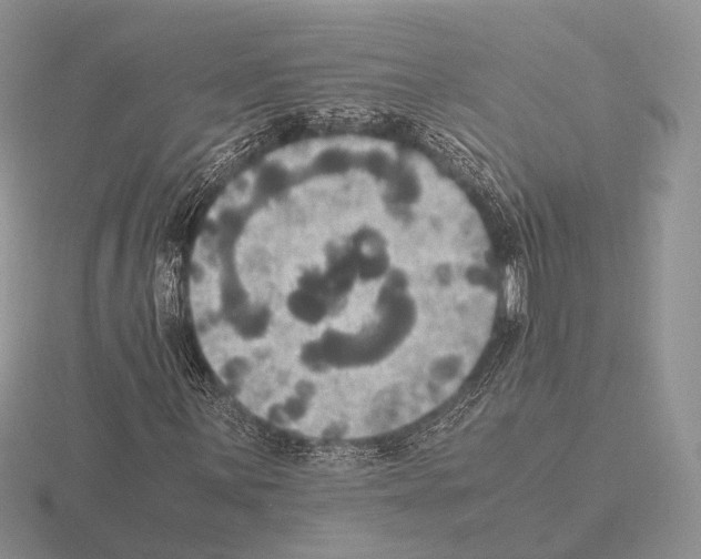 X0000115391059200912151455