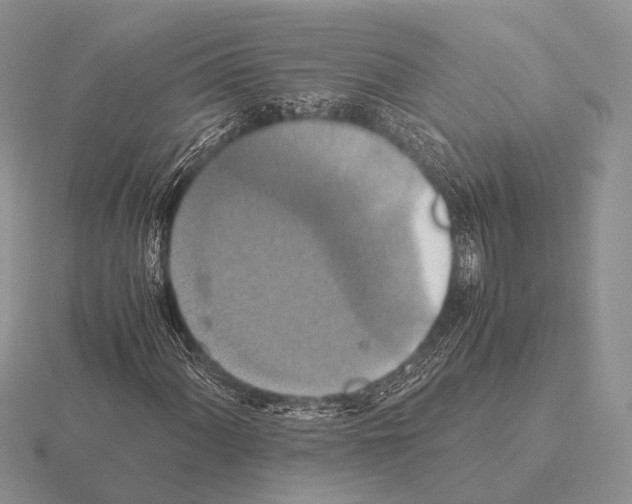 X0000115391060200912151455