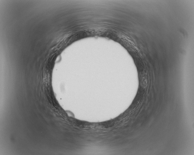 X0000115391061200912151455